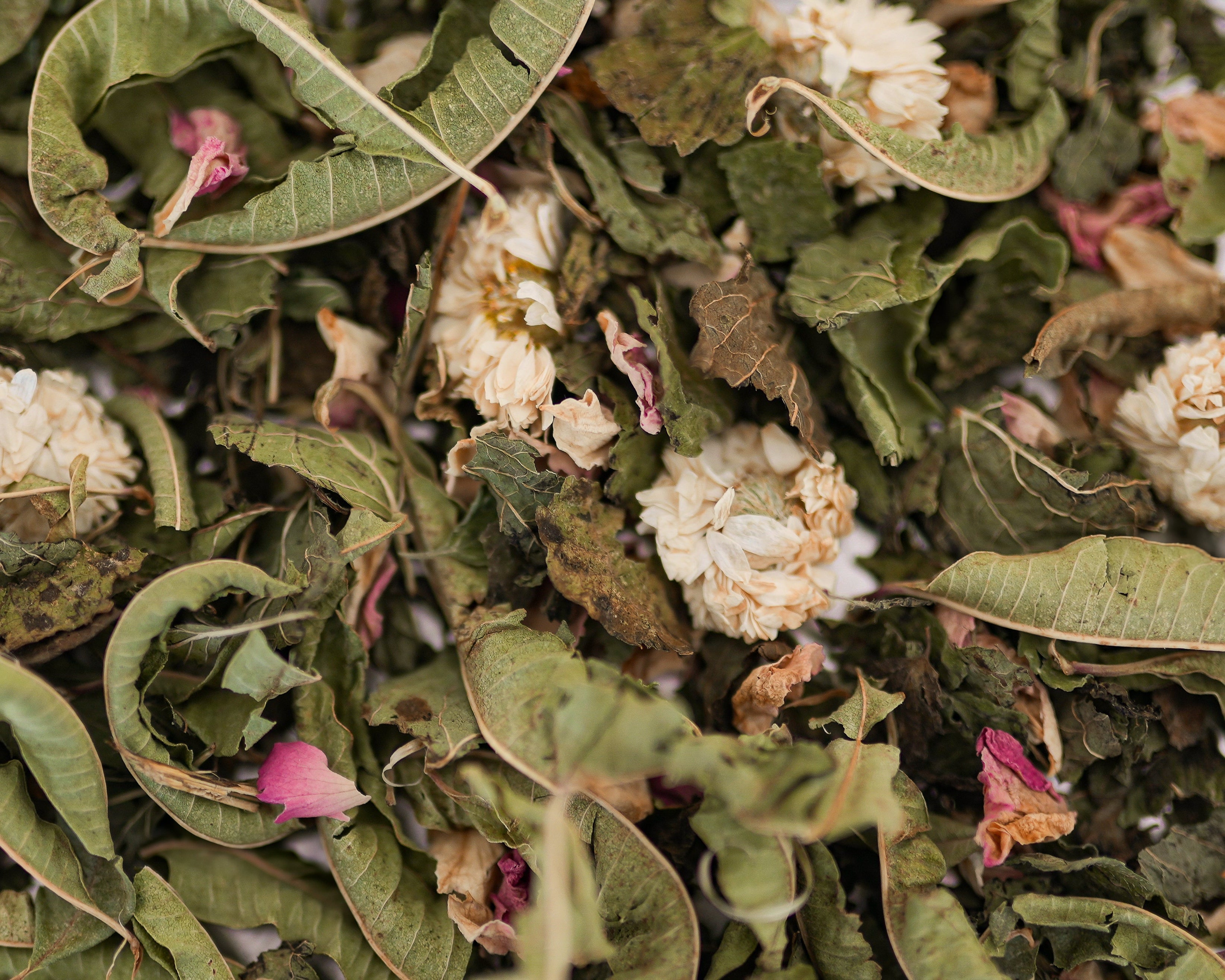 N°19 Infusion Rituel du soir