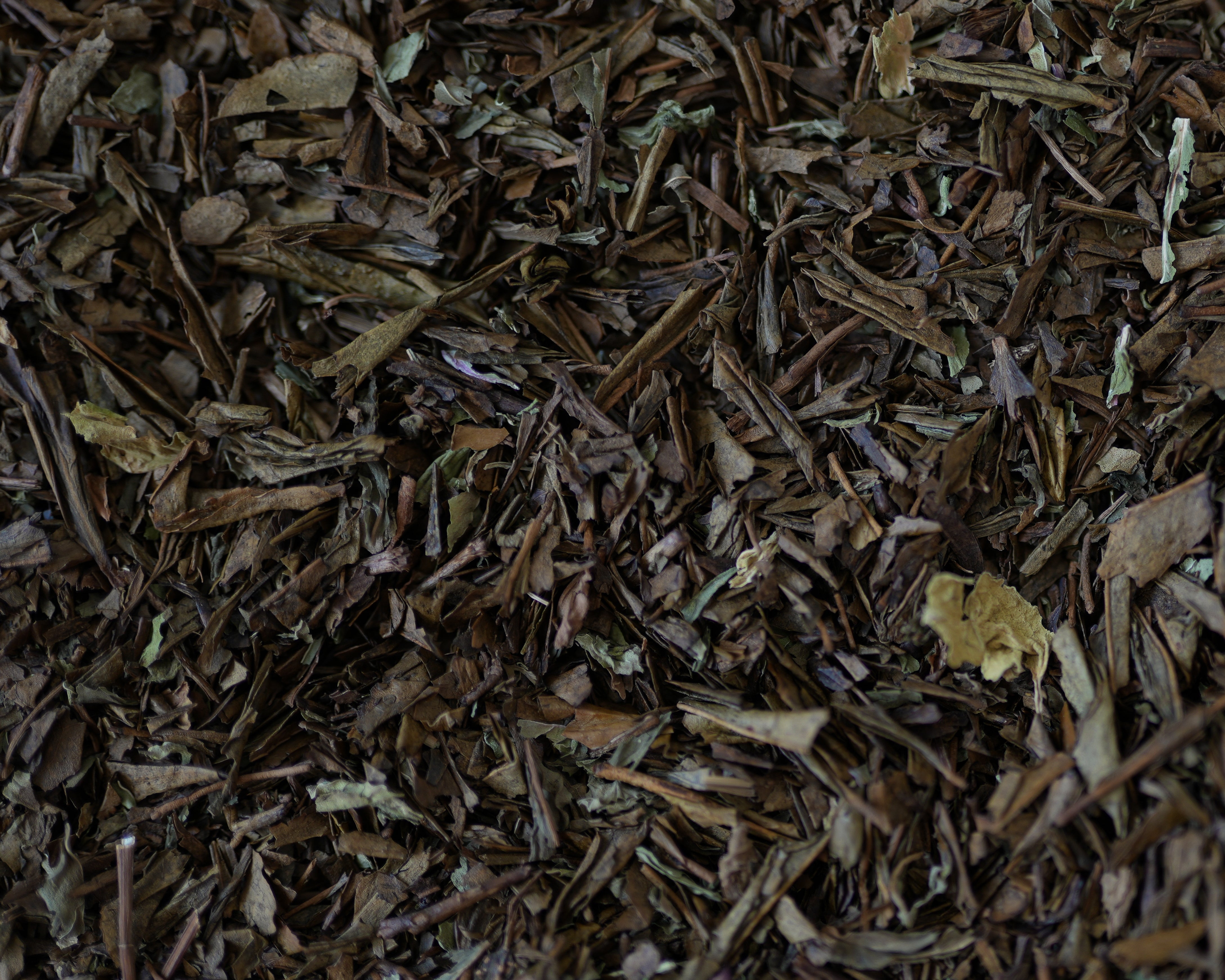 N°18 Hōjicha Menthe 