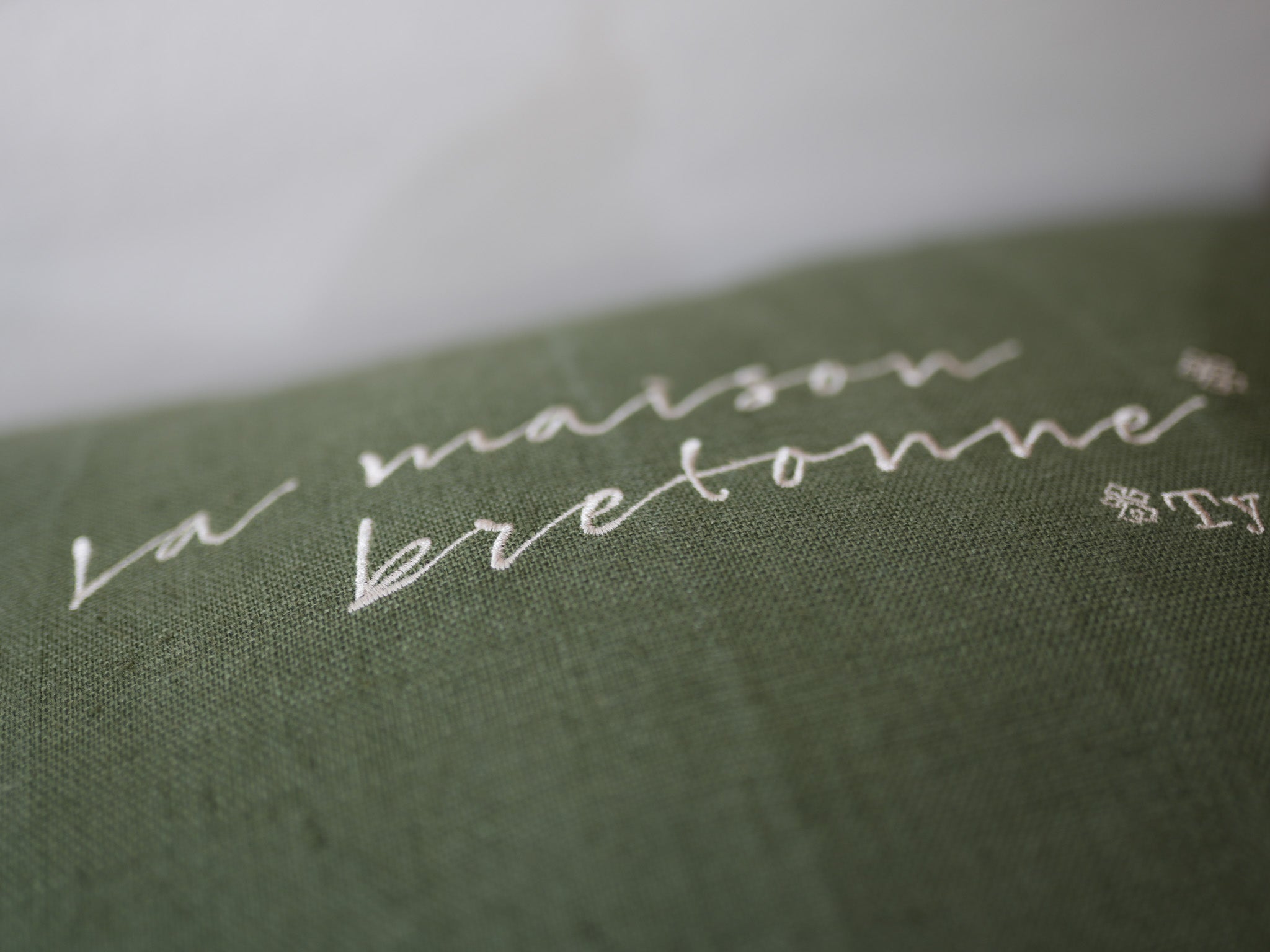 Coussin Dagorn Vert bronze