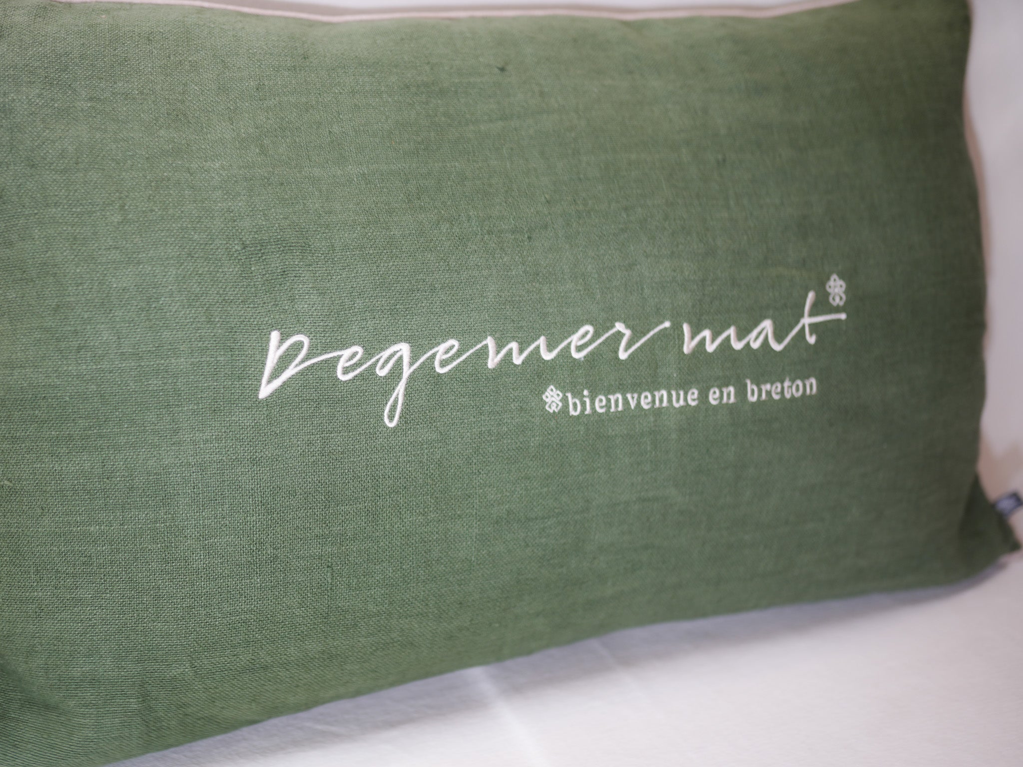 Coussin Loig Vert Bronze