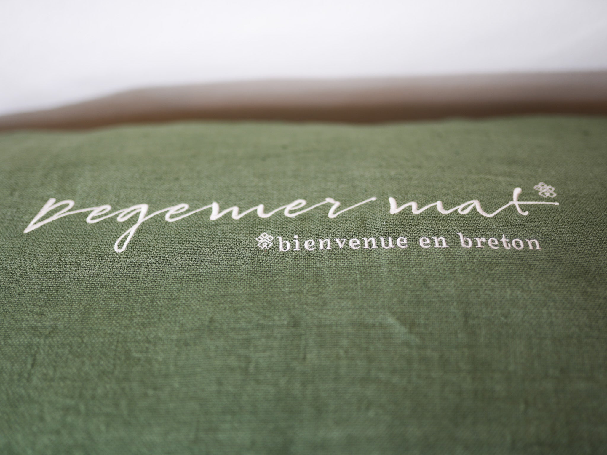 Coussin Loig Vert Bronze