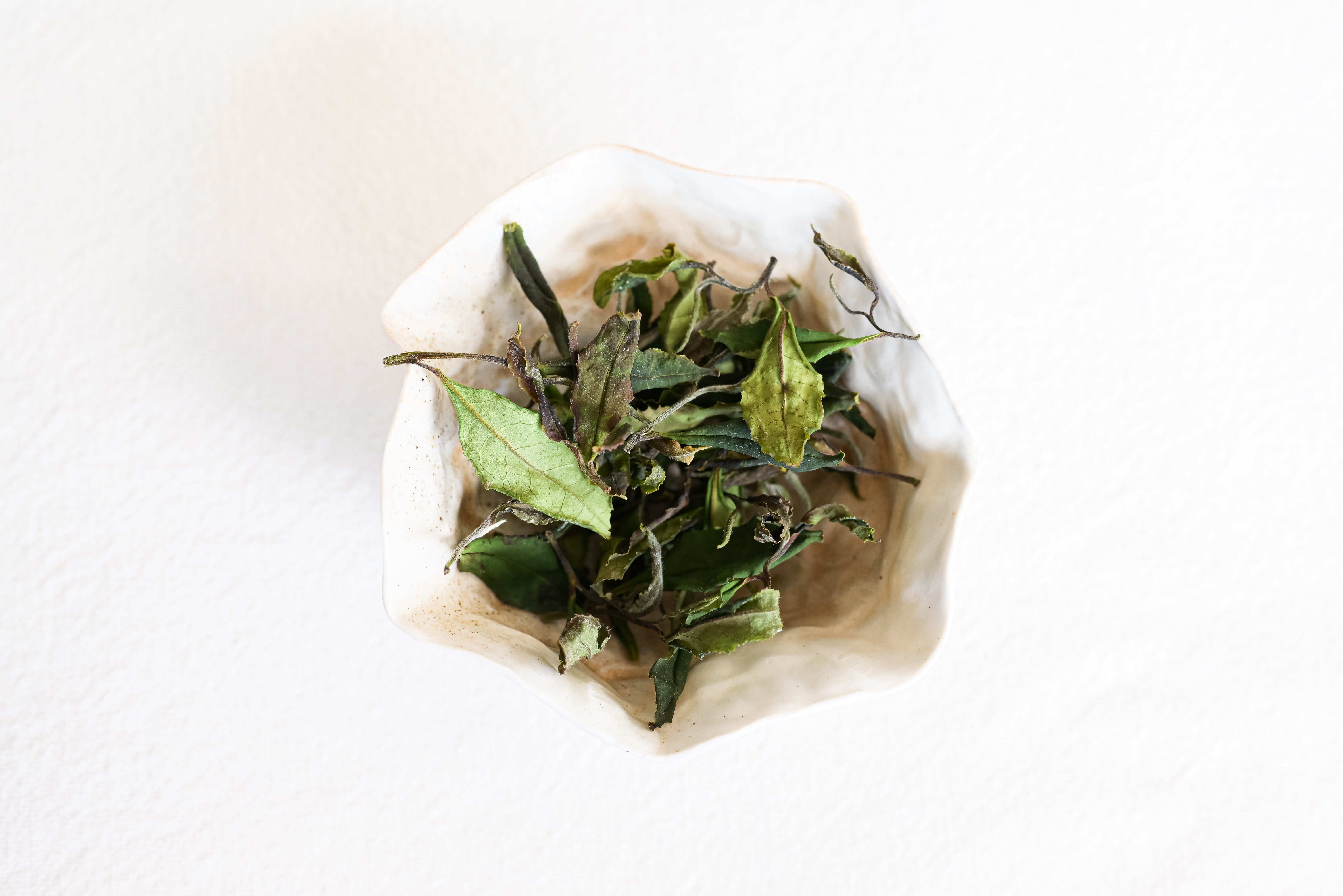 Thé blanc breton premium - Moëlan-sur-mer