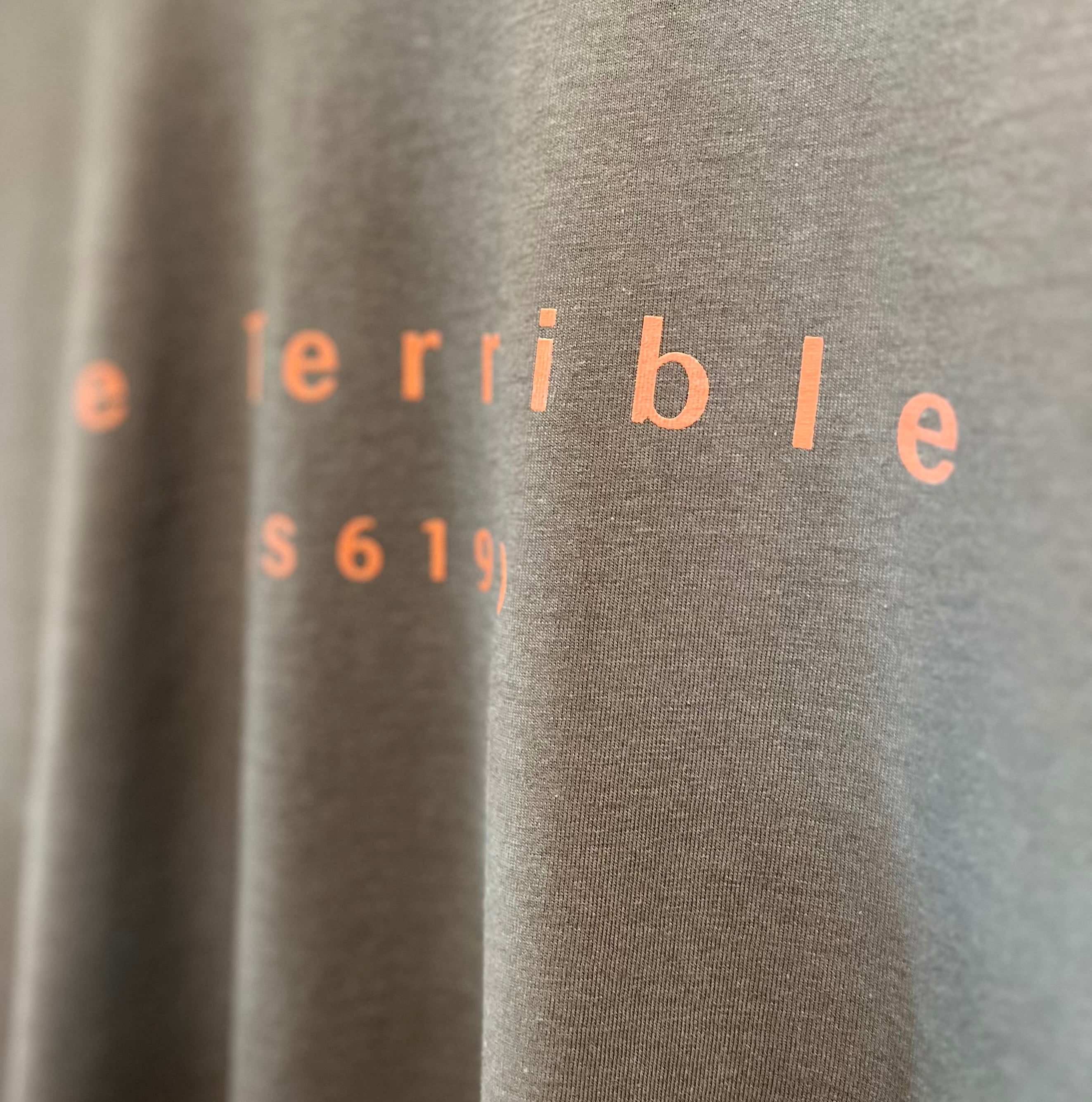 T-shirt homme Corentin-Le Terrible