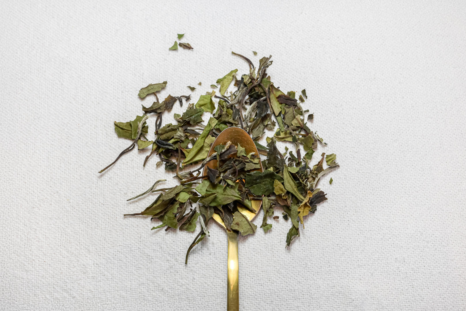 N°1 : Thé blanc Pai Mu Tan