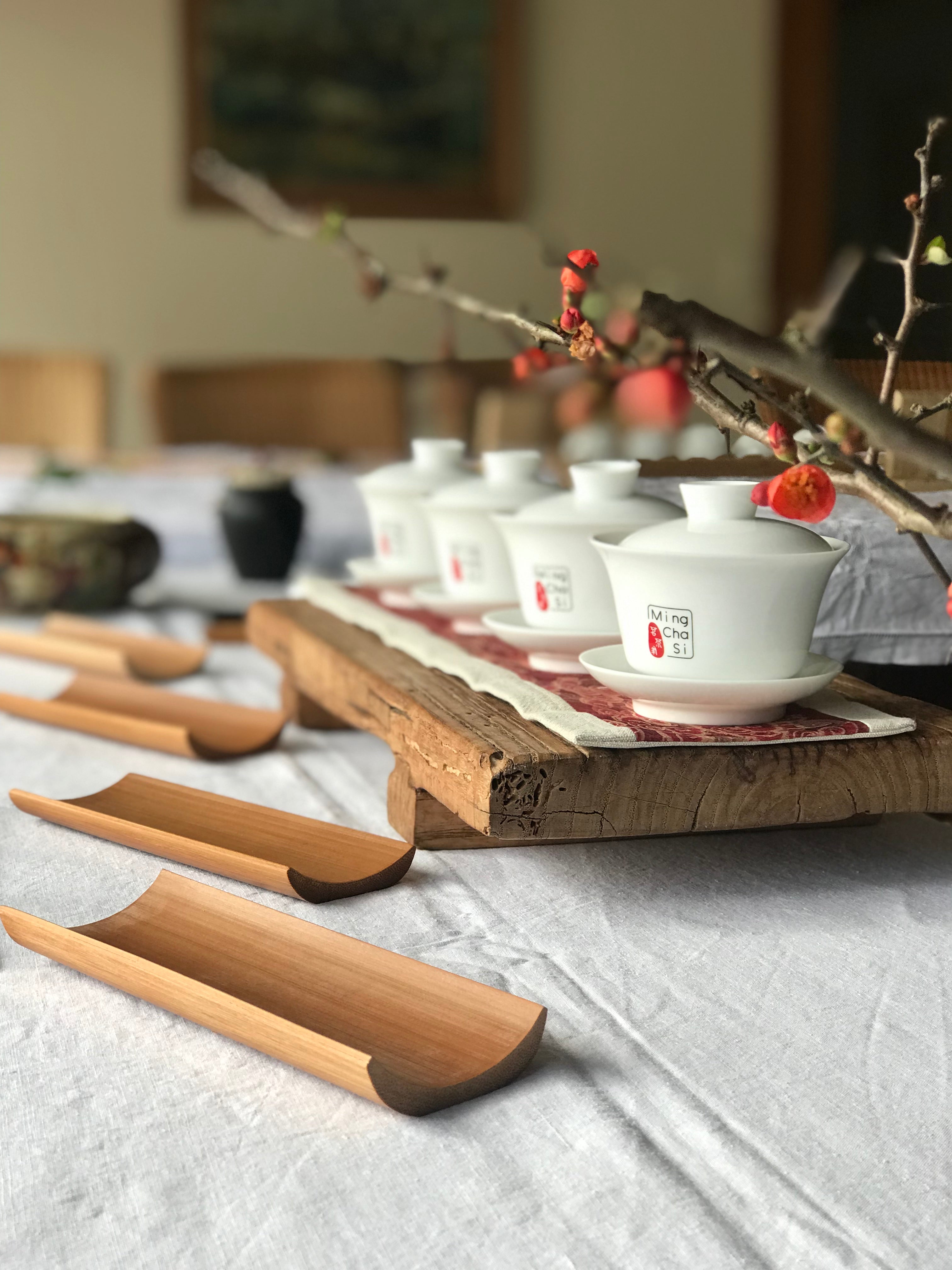 Atelier découverte du Camellia Sinensis 🌿 - Samedi 4 juillet