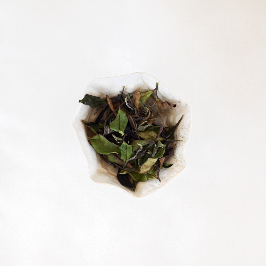 Thé blanc Trévarez - Pontivy