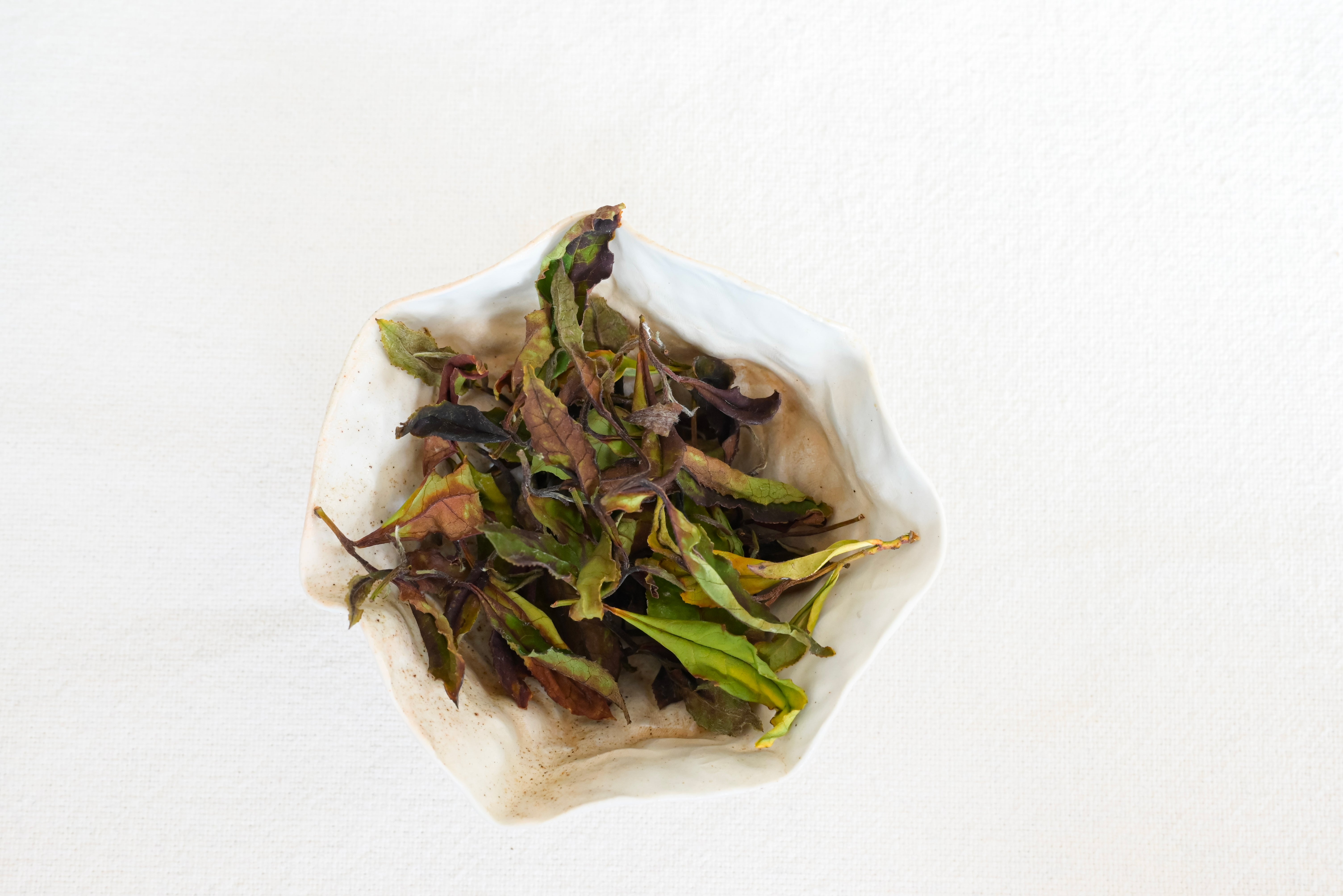 Thé blanc breton - Sibiril